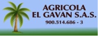 Logo el Gavan 